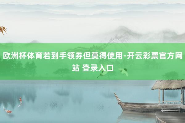 欧洲杯体育若到手领券但莫得使用-开云彩票官方网站 登录入口