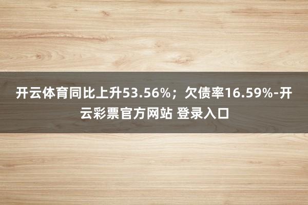 开云体育同比上升53.56%；欠债率16.59%-开云彩票官方网站 登录入口